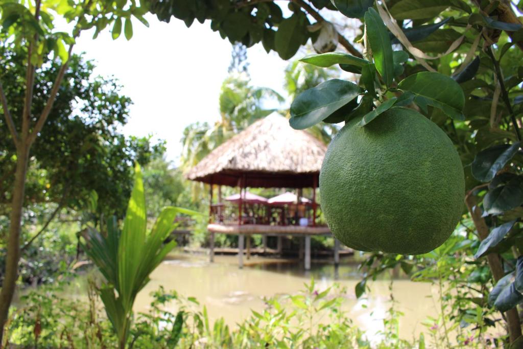 Nguyet Que Homestay & Tours - 10