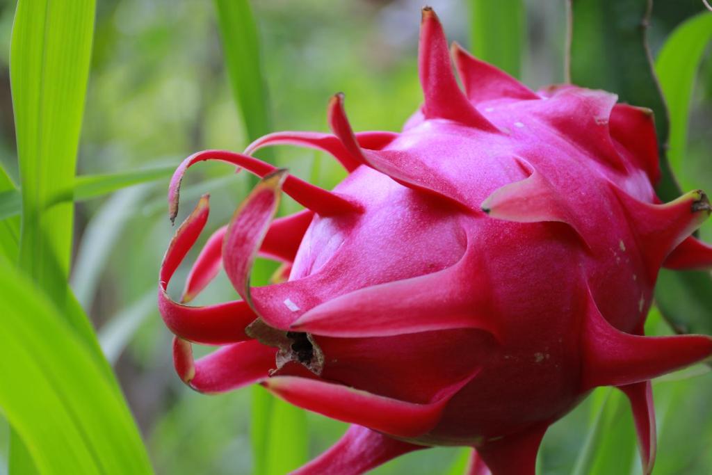 Nguyet Que Homestay & Tours - 7