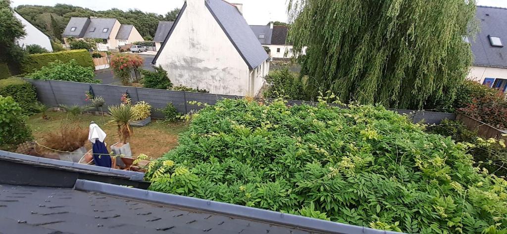a garden with plants and a house in the background at Tous à l'ouest in Combrit