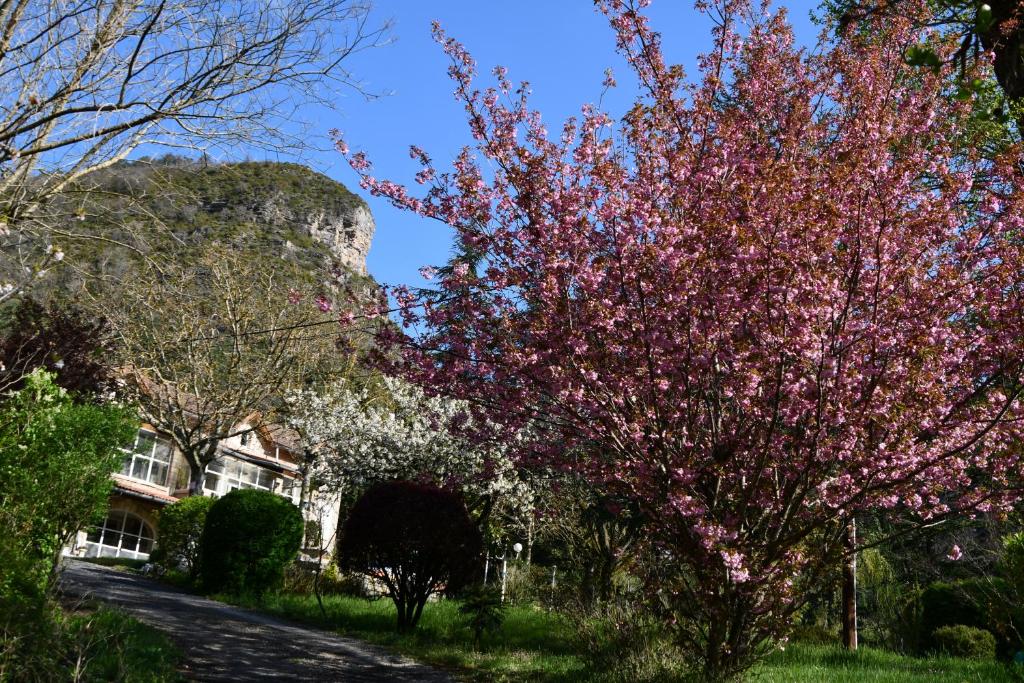 un árbol florido delante de una casa en Gîte Domaine du Théron, en Mostuéjouls