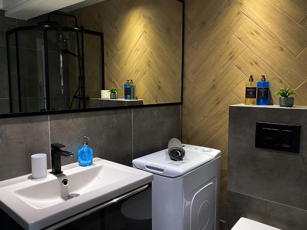 BP Apartment VI - Resim 27