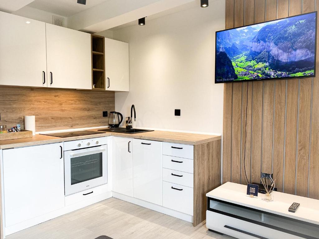 BP Apartment VI - Resim 28