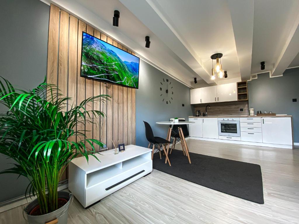 BP Apartment VI في تورون: غرفة معيشة مع تلفزيون على الحائط