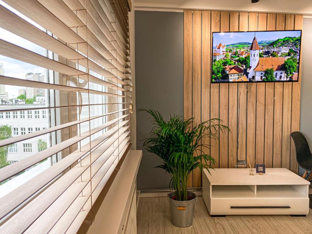 BP Apartment VI - Resim 38