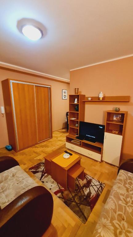 een woonkamer met een bank en een salontafel bij Apartman Lens in Novi Sad
