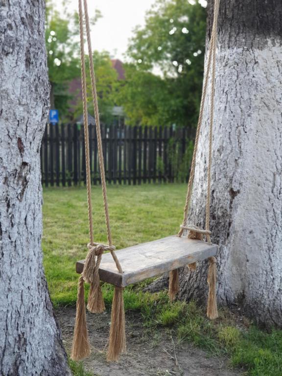 um balanço pendurado numa árvore num parque em Vila Codreanu em Bran