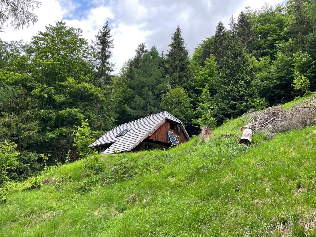 una vieja cabaña en una colina en un campo de hierba en Architect`s Cottage - serenity and greenery in the highlands en Soča