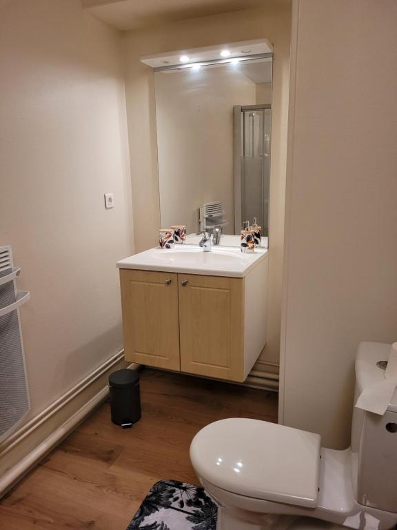 a bathroom with a sink and a toilet and a mirror at Studio récent résidence Charles Quint in Gray