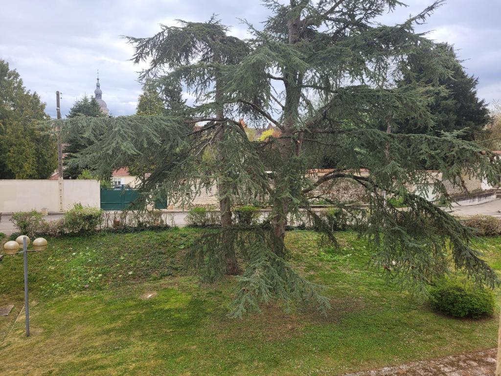 a large tree in a yard at Studio récent résidence Charles Quint in Gray