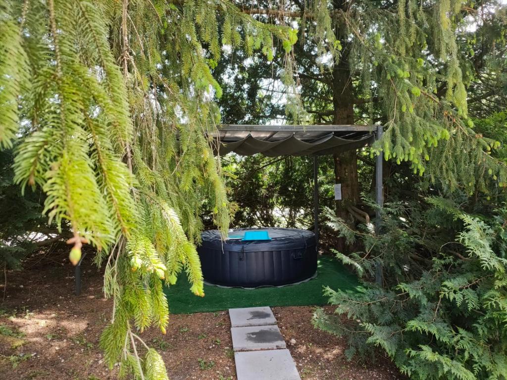 a shady pergola with a barrel in a garden at La jurassienne in Champagnole