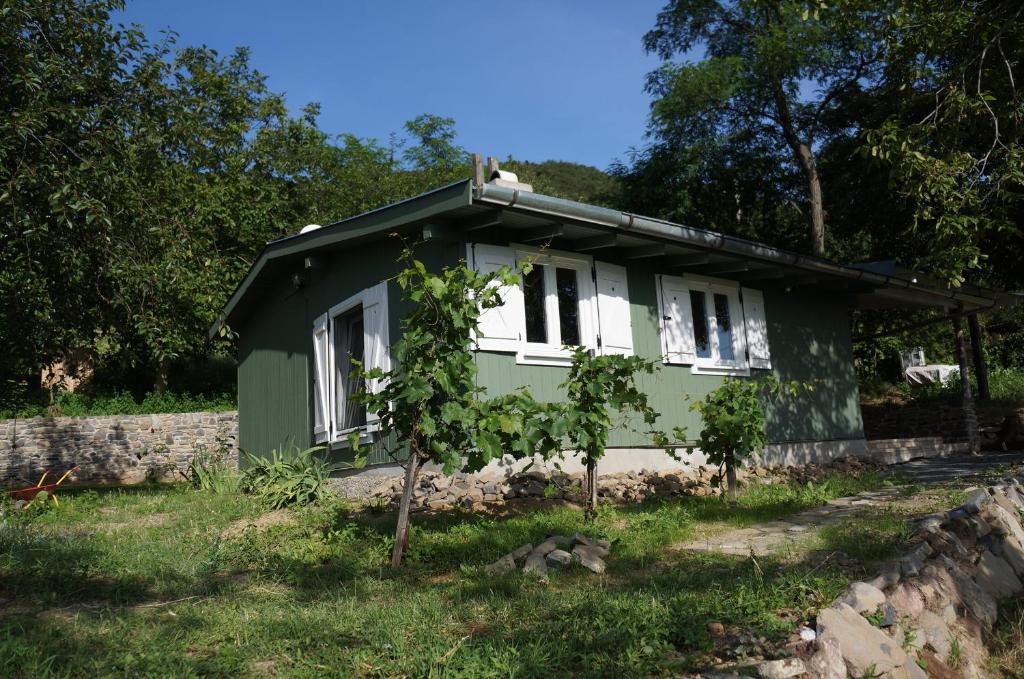 ein grünes Haus mit einem Baum davor in der Unterkunft Badacsony Vendégház in Badacsonytördemic