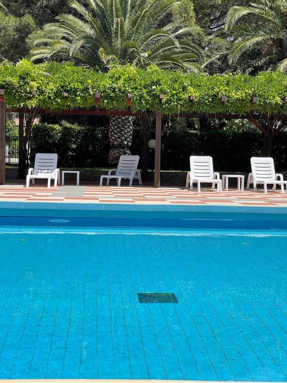 two chairs and a swimming pool with chairs and palm trees at MARICAMPO Monolocale con piscina e parcheggio in Marina di Campo