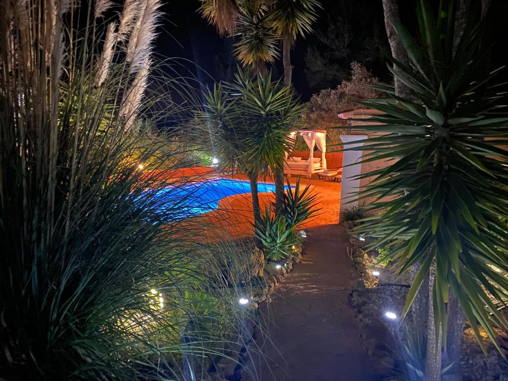 un jardín nocturno con palmeras y luces en Villa Mercedes, en Cala Llonga