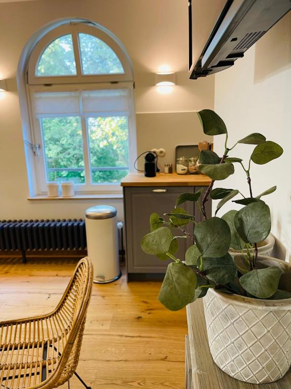 Fotografie z fotogalerie ubytování Kaiserliche Post Suites Bevensen-Ferienwohnung v destinaci Bad Bevensen