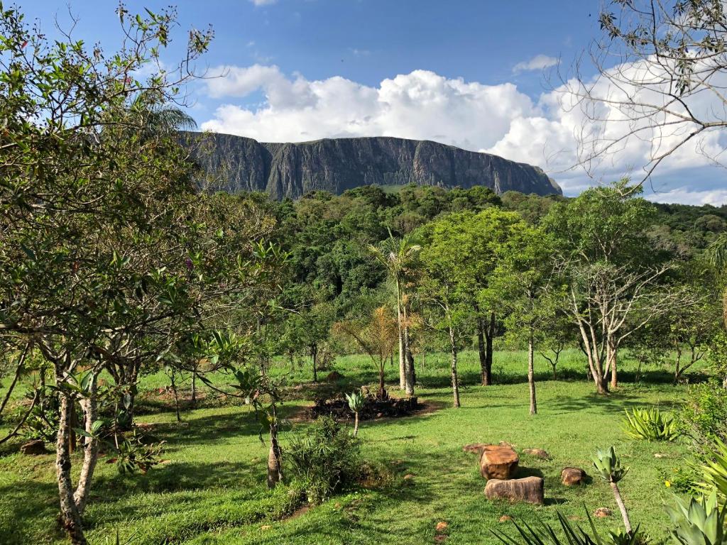 a field with trees and a mountain in the background at Sitio Canto da Serra - Serra da Canastra in São Roque de Minas