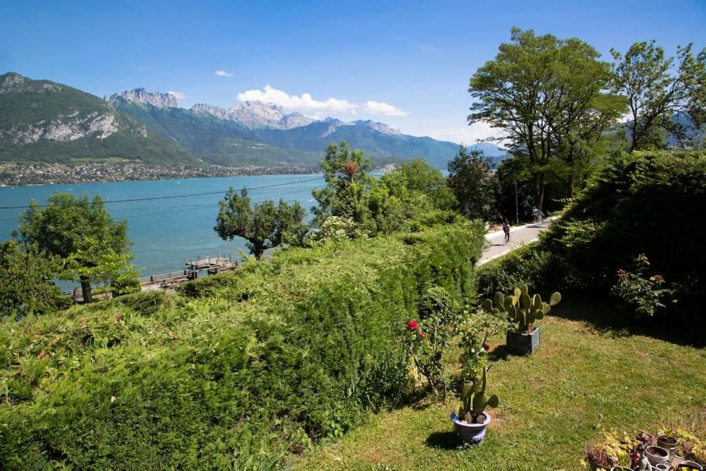 een heuvel met planten en water bij Maison à 30 mètres du lac et piste cyclable in Sévrier