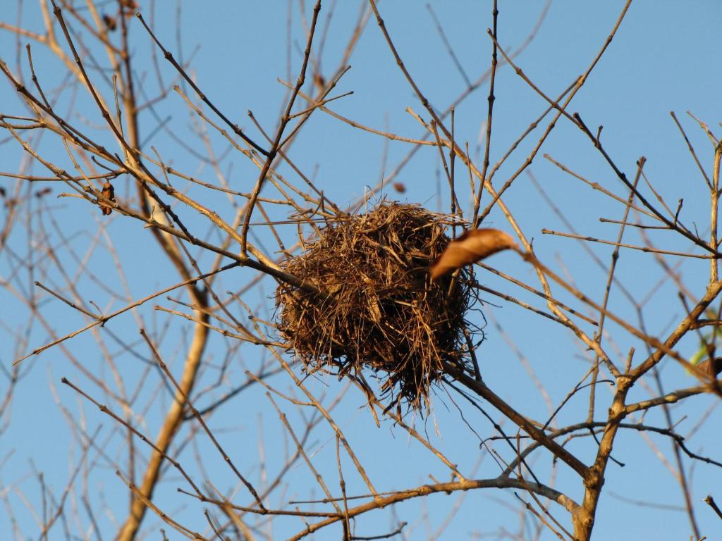 Hotel Fazenda Arara Azul