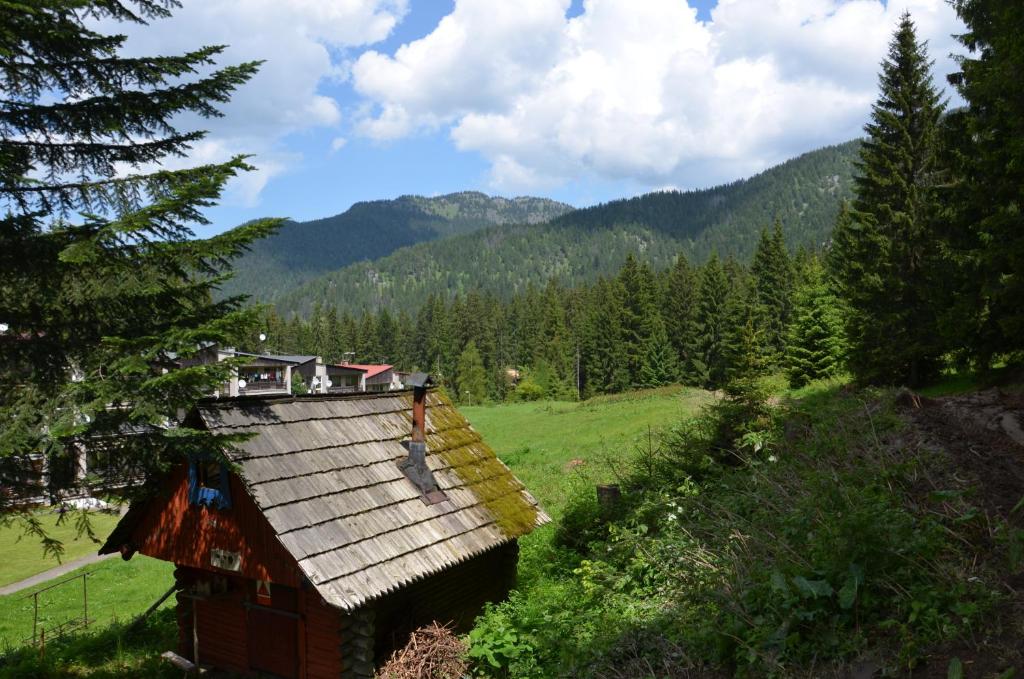 Táj az apartman közelében