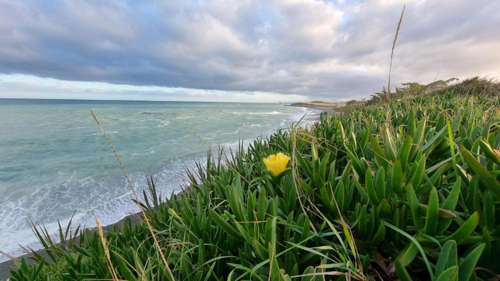 Kingsdown Manor B&B Timaru - Resim 21