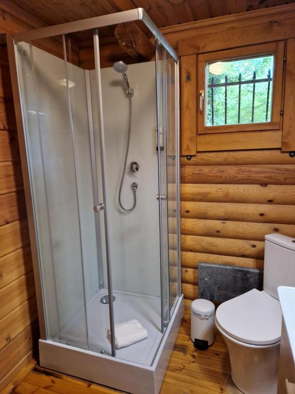 a shower stall in a bathroom with a toilet at Les Chalets Amneville in Amnéville
