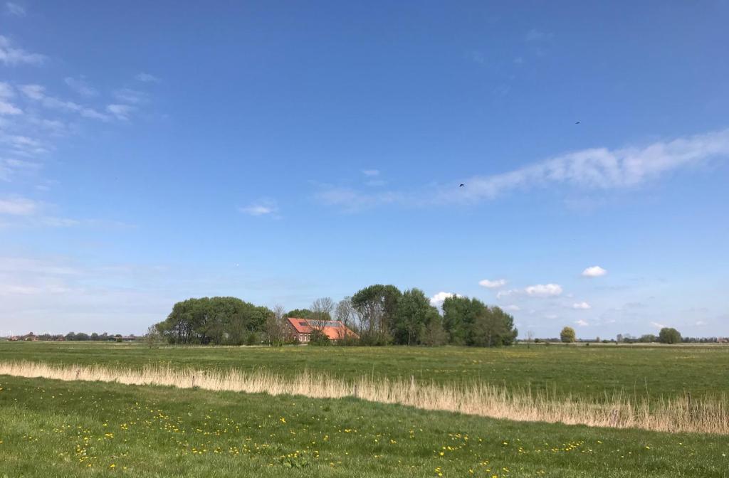 um campo de relva com uma casa à distância em Ferienhof Spiegelhaus em Krummhörn