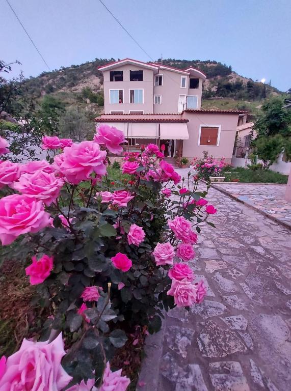 Vlore Holiday House - Image 9