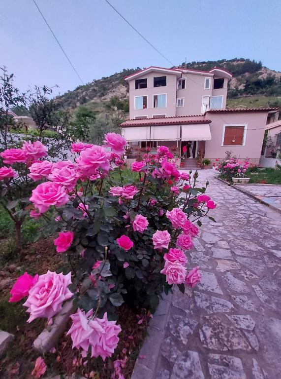 Vlore Holiday House - Image 11