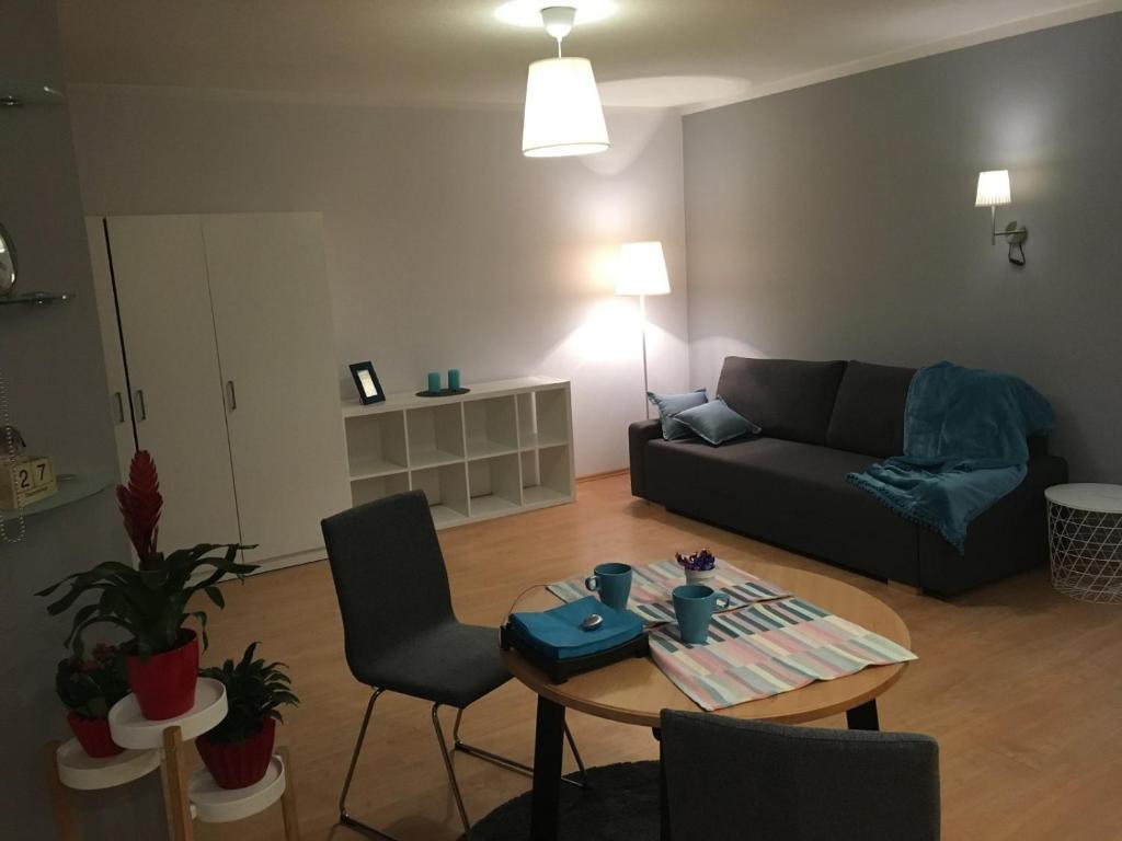 a living room with a couch and a table at One bedroom studio apartment in Ikskile in Ikšķile