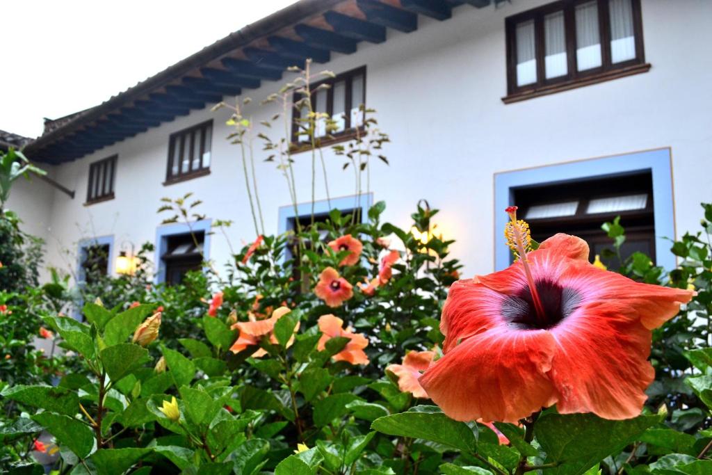 Zahrada ubytování Meson del Alferez Coatepec