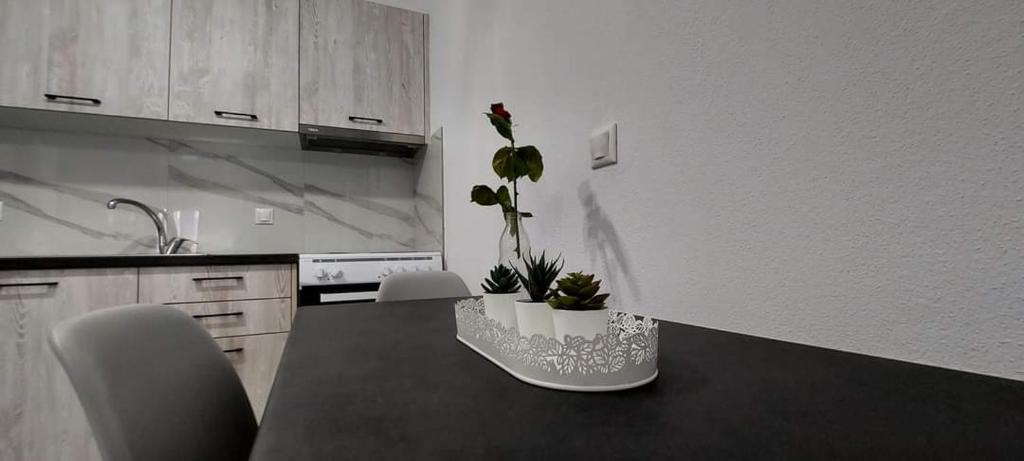 Kuchyňa alebo kuchynka v ubytovaní Milias Apartment's