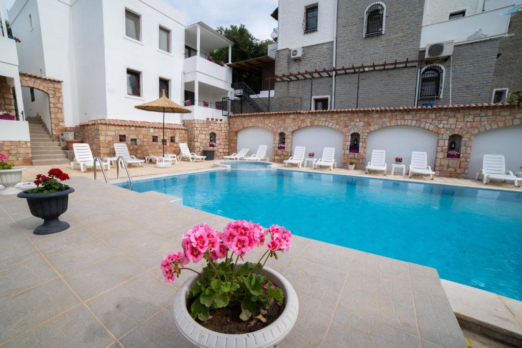 Dolphin Residences Coleus 3