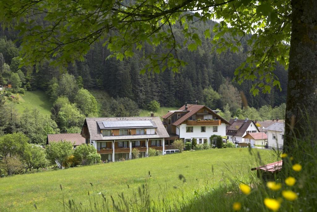 une grande maison sur une colline dans un champ dans l'établissement Isoldes Landhaus, à Baiersbronn