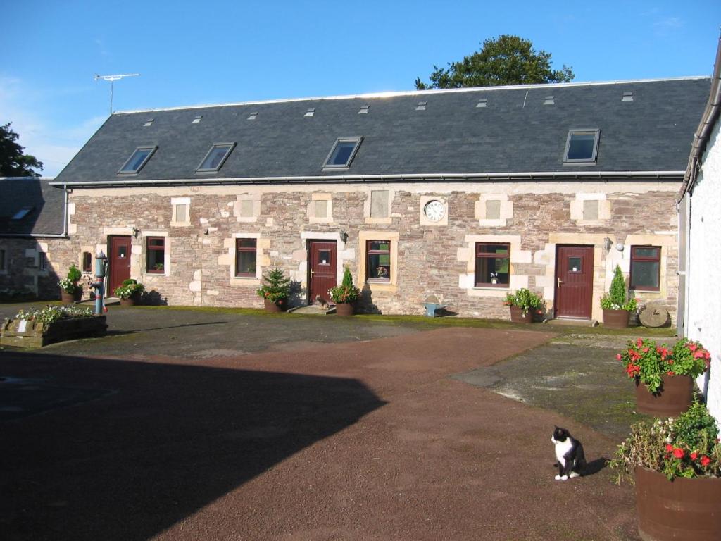 a cat sitting in front of a stone building at Corehouse Farm Cottages - Dairy, Granary & Sawmill in Lanark