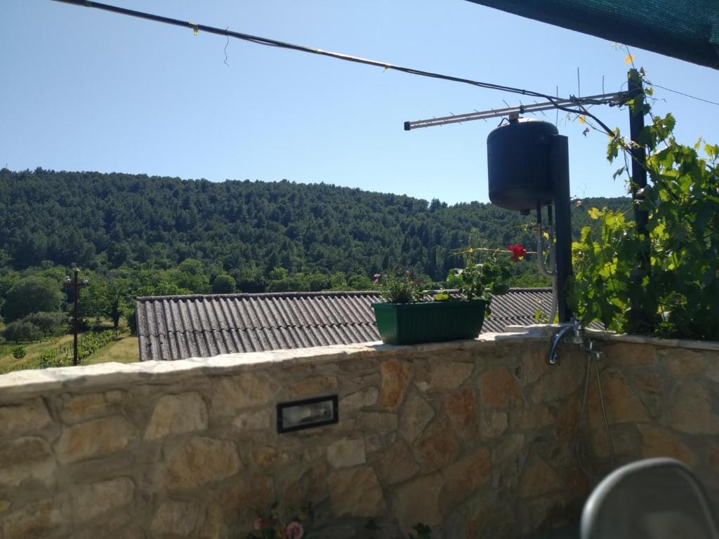 Milica app Skradinsko polje 24