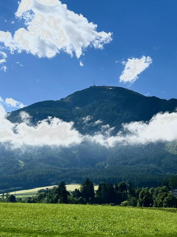 LOOMZ living Self-check-in - Resim 36