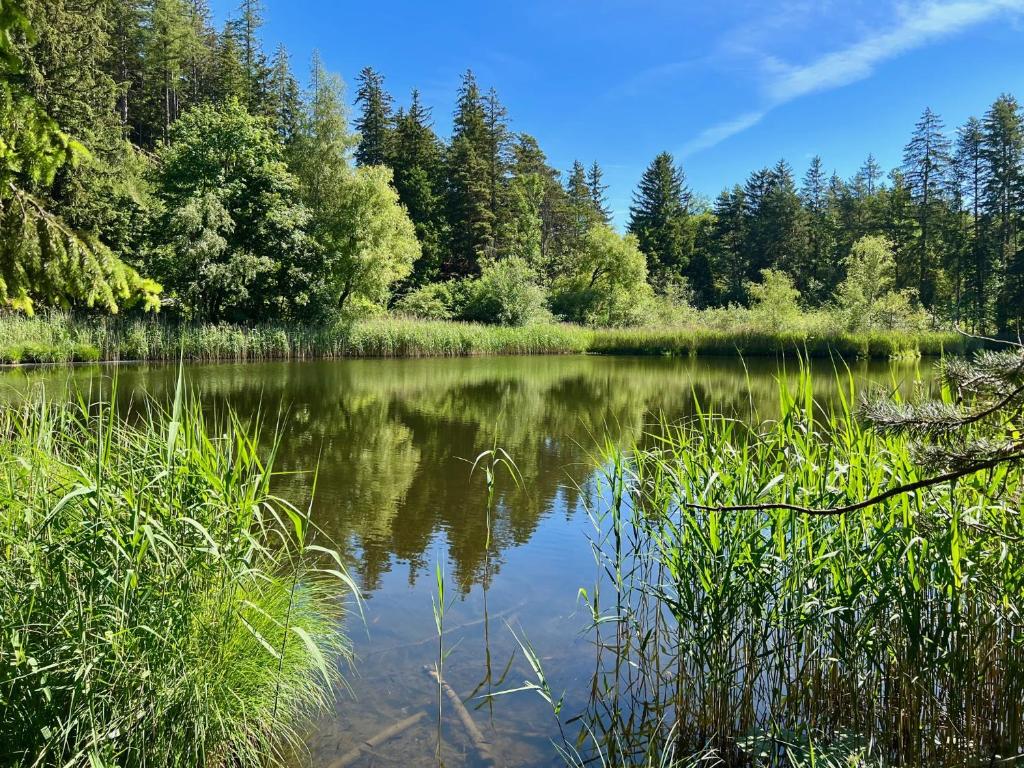 LOOMZ living Self-check-in - Resim 34