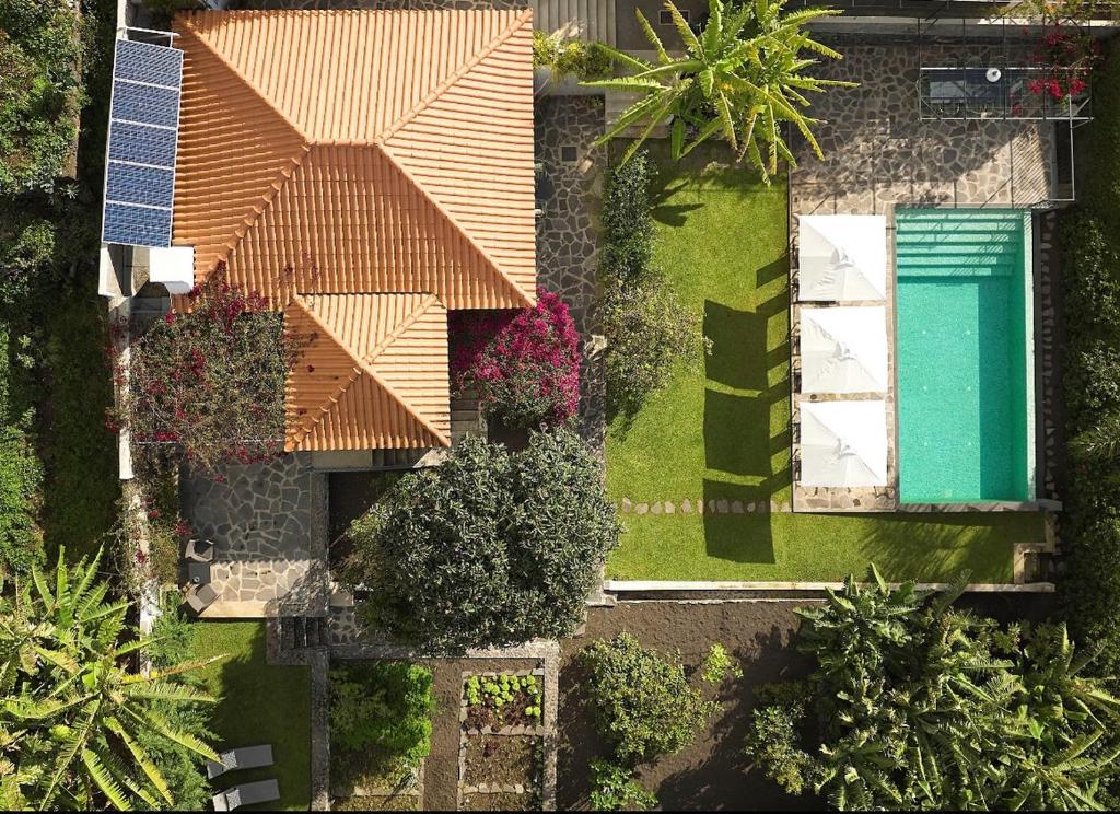 フンシャルにあるBordal Housesの庭園とスイミングプール付きの家の頭上の景色