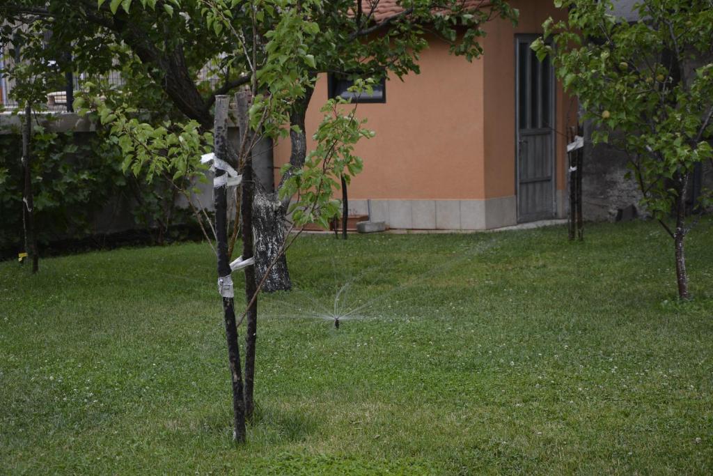 Vonkajšia záhrada v ubytovaní Apartment Neven