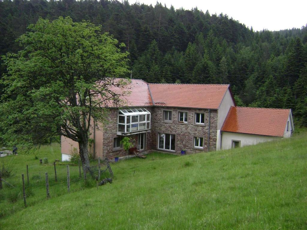 a house on a hill with a tree in a field at Gite HANSEL de la Ferme du Schneeberg in Wangenbourg
