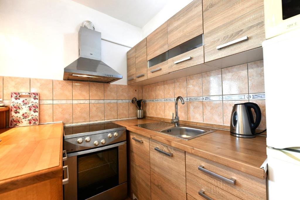 Kuchyňa alebo kuchynka v ubytovaní Apartment Marija Zupan