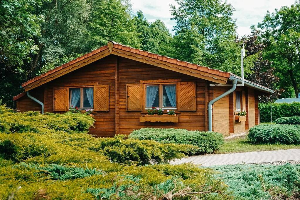 a small log cabin with a window at Holzhaus direkt am See in Priepert