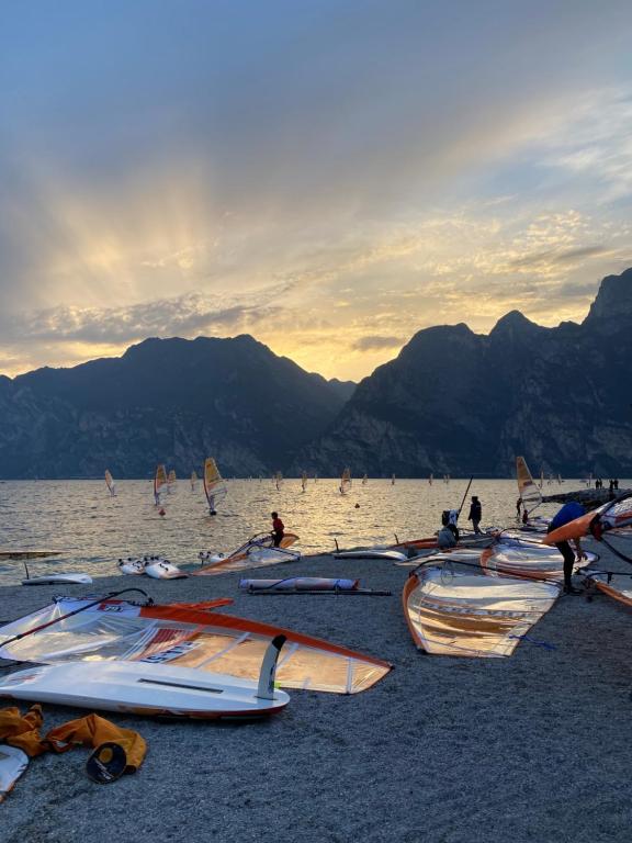 un gruppo di tavole da surf adagiate sulla spiaggia di Hotel Aurora & Appartamenti a Torbole