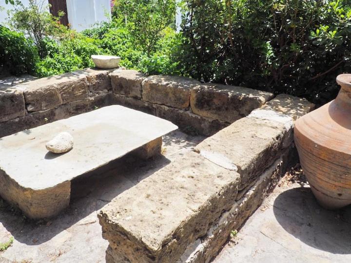 Ogród w obiekcie Cycladic House in Skiros