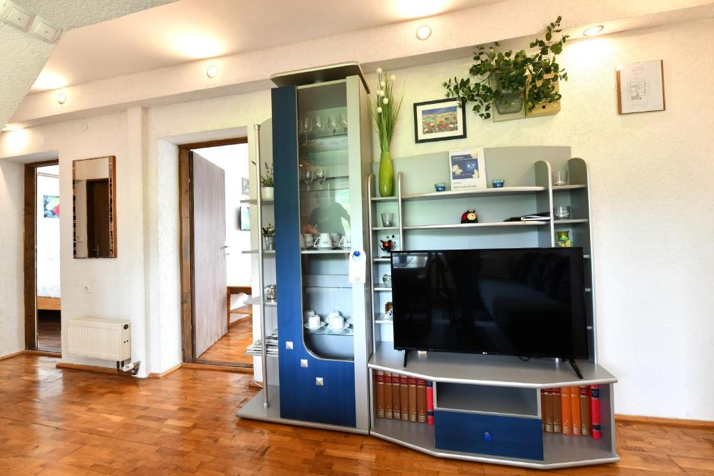 Televízia a/alebo spoločenská miestnosť v ubytovaní Apartment Marija Zupan