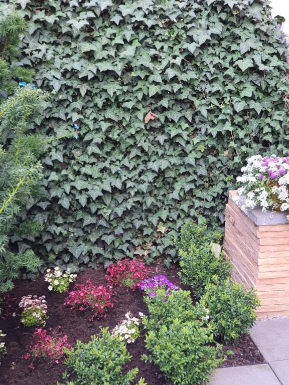 Apartamenty Dom Saski 10 minut od Centrum Warszawy - 18