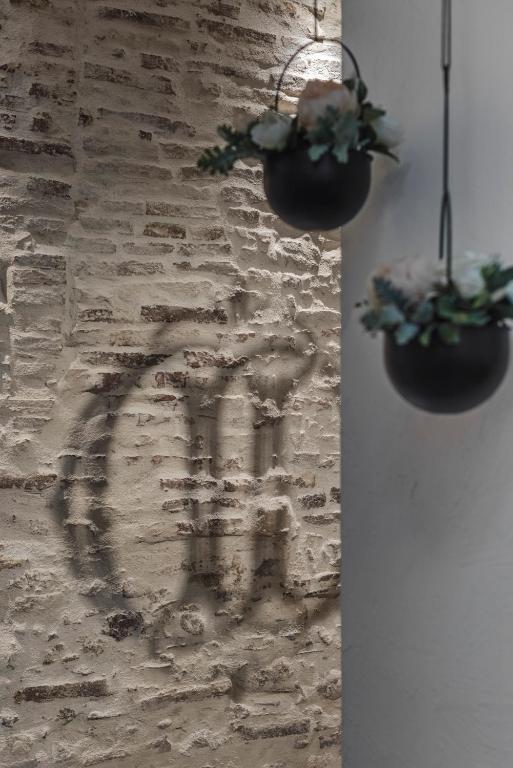 ceglana ściana z dwoma roślinami w obiekcie Dimore D'Avalos Boutique bed & breakfast w mieście Vasto