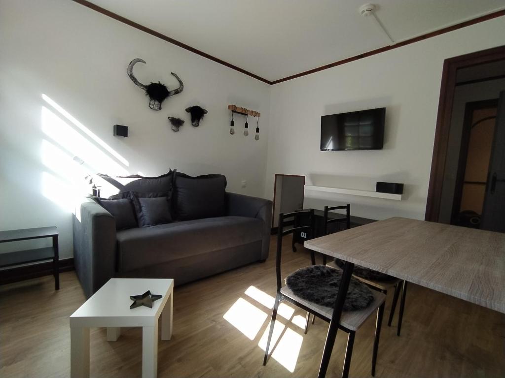 Televiisor ja/või meelelahutuskeskus majutusasutuses Chalet Appart'Hôtel l'Eau Vive