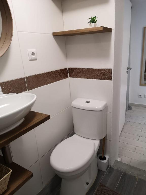 Lemon Tree House Coimbra - Courtyard garden with city views - 8