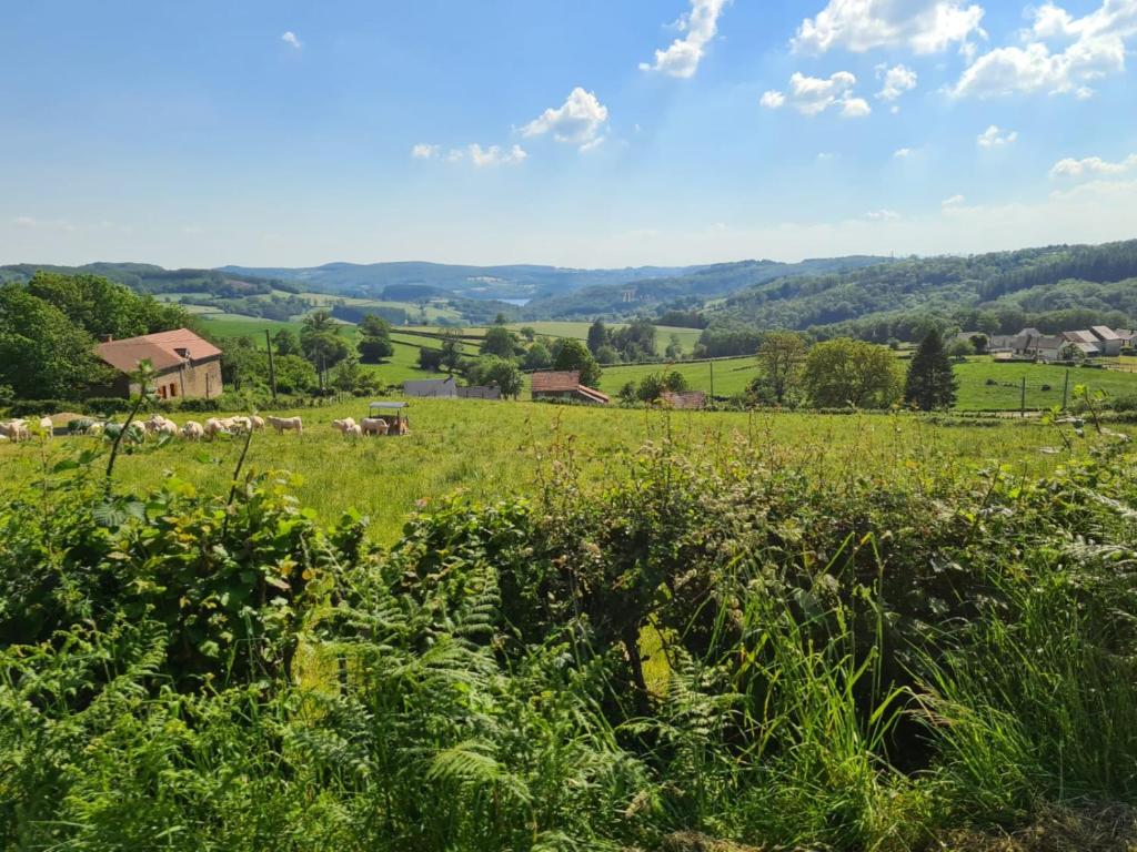 Przyroda w pobliżu tego obiektu B&B