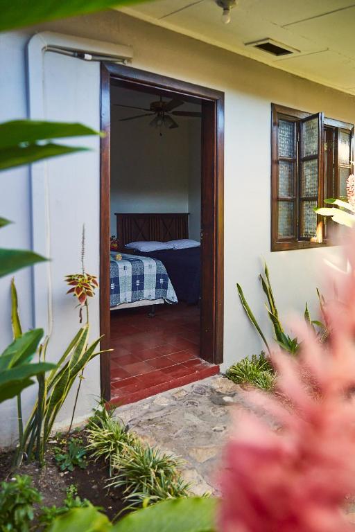 Zahrada ubytování La Posada Copan